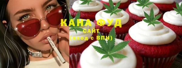 мдпв Дмитров