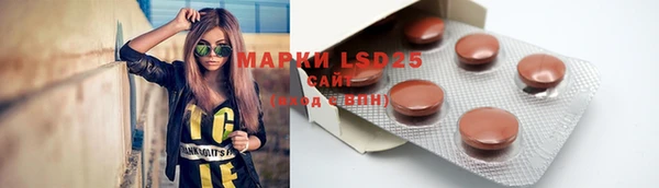 мдпв Дмитров