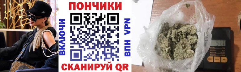 Купить закладки Киреевск Конопля сатива